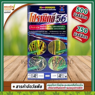 โปรามิกซ์ 56 (คลอโรทาโลนิล+อะซอกซีสโตรบิน) สารป้องกันกำจัดโรคพืช แอนแทรคโนสพริก กุ้งแห้งพริก กาบใบแห้งข้าว ราน้ำค้าง