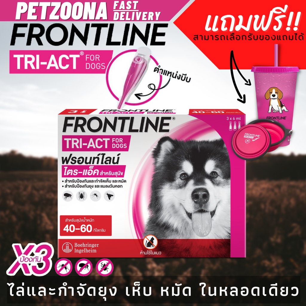 Frontline Tri Act 40 60 kg. petzoona ThaiPick