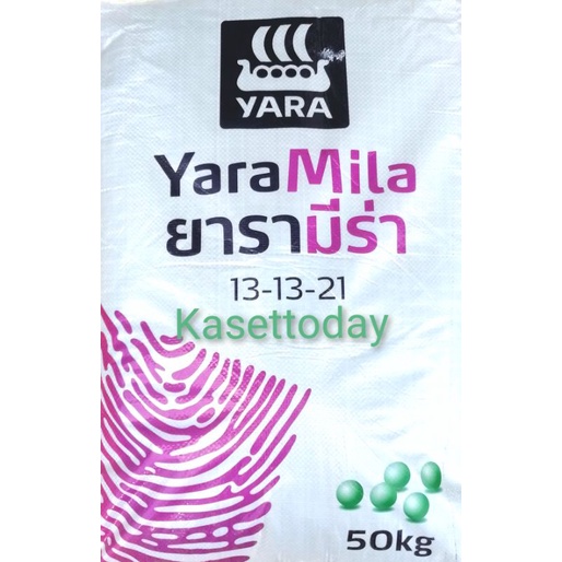 ปุ๋ยสูตร​ 13-13-21​ ยารามีร่า​ บำรุงดอก​ ผล​ พืชหัว​ ขนาด​ 500​ กรัม