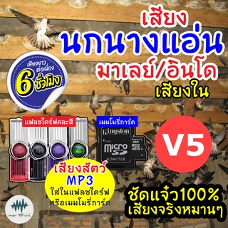 (MP3 เสียงต่อสัตว์) เสียงนกแอ่นอินโด-เสียงใน V.5 [6ชั่วโมง] ใส่เมม/แฟลชไดร์ฟ มีเก็บเงินปลายทาง ชัดเข้าไว100% ไม่มีโฆษณา