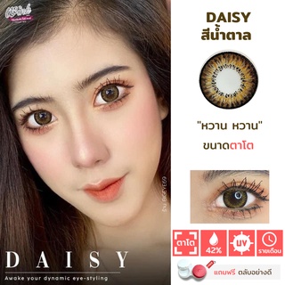 ไม่แถมตลับ Daisy Brown (ตาโต) คอนแทคเลนส์ Wink