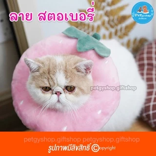 คอลล่าร์สัตว์เลี้ยง (วัดรอบคอ ก่อนสั่งซื้อ)‼️ ปลอกคอกันเลีย รุ่นผ้านิ่ม นอนได้ 🦁🐋🌵🍓🦀 มี 14 ลาย #ปลอกคอกันเลีย