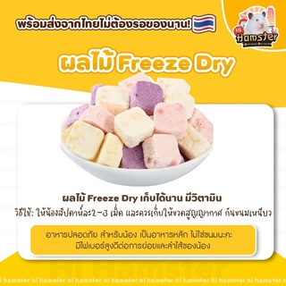 [HiHamster] ผลไม้รวม Dry freeze ขนมสำหรับสัตว์เลี้ยง แฮมสเตอร์ เม่นแคระ