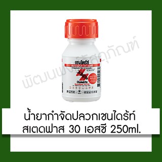 น้ำยากำจัดปลวก เชนไดร้ท์ สเตดฟาส 30 เอสซี CHAINDRITE STEDFAST 30SC 250 ml. น้ำยา กำจัดปลวก อุปกรณ์ ฆ่าแมลง