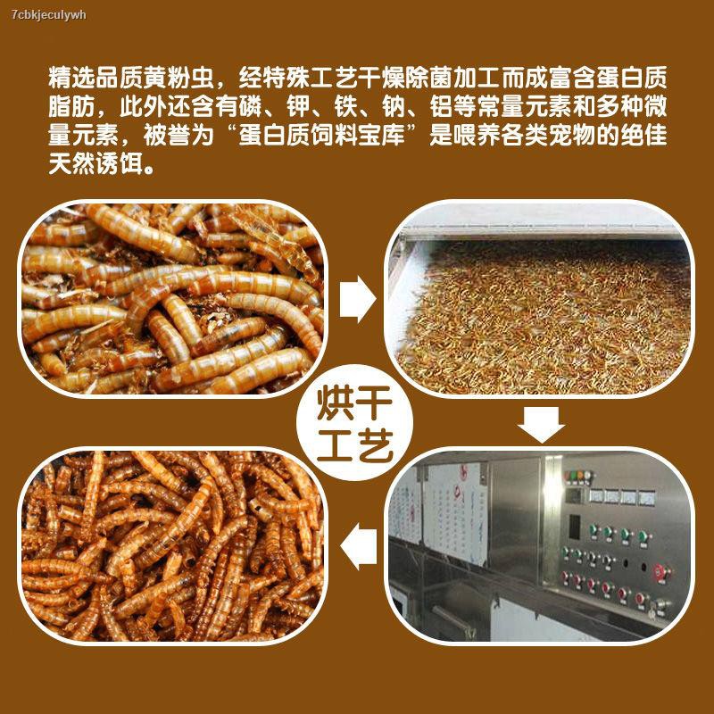 My Image 25