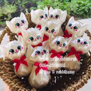 เหรียญโปรยทานแมวเหมียว 😻👑 (ตัวเปล่า)😻😻