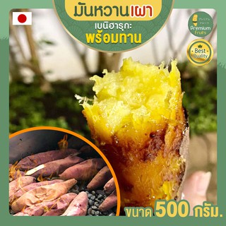 มันหวานญี่ปุ่น 500 กรัม เผา มันหวาน มันหวานเผา พร้อมทาน นำเข้าจากญี่ปุ่นแท้ 100% เบนิฮารุกะ ปลูกที่ญี่ปุ่น มันญี่ปุ่น