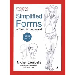 กายวิภาค การวาดร่างกายมนุษย์ morpho : Simplified Forms