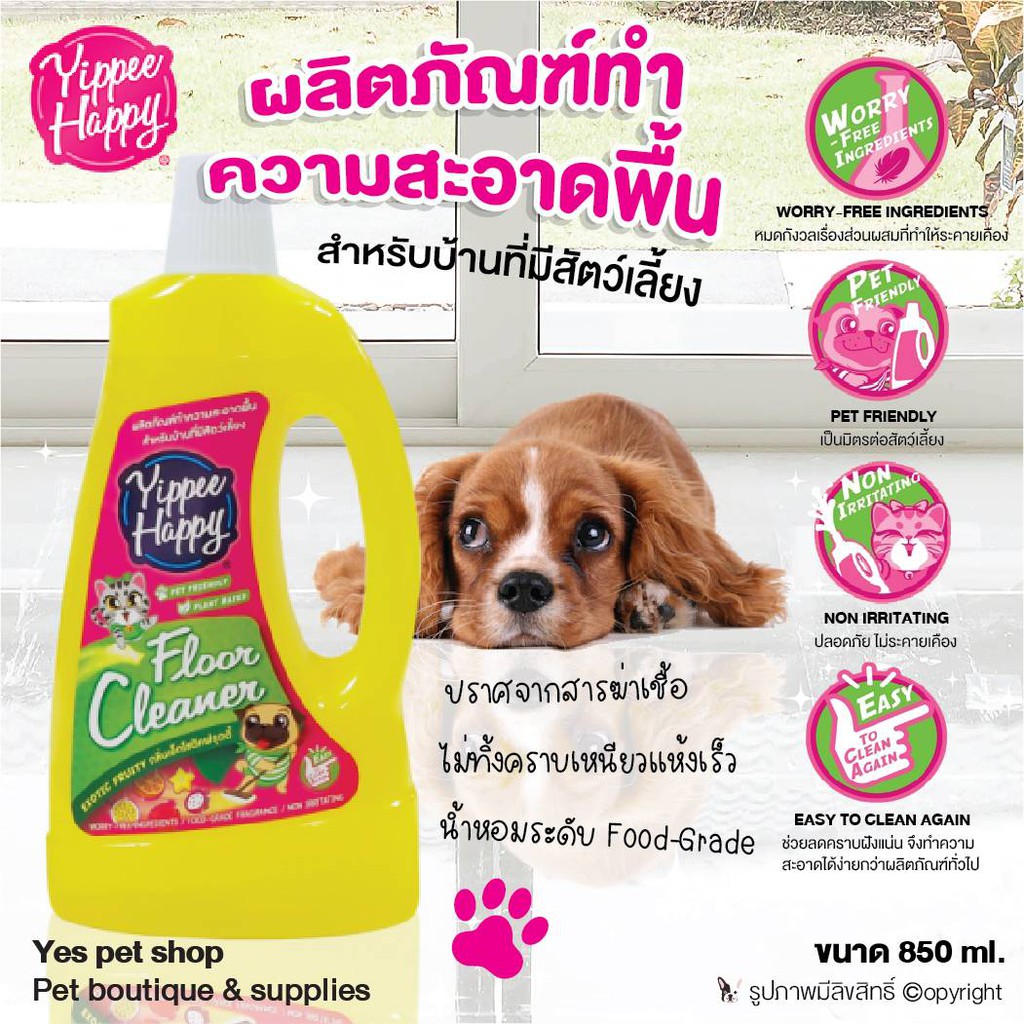 น้ำยาถูพื้น สำหรับบ้านที่มีสัตว์เลี้ยง Yippee Happy น้ำยาถูพื้น ปลอดภัยต่อสัตว์เลี้ยง ปราศจากสารฆ่าเ