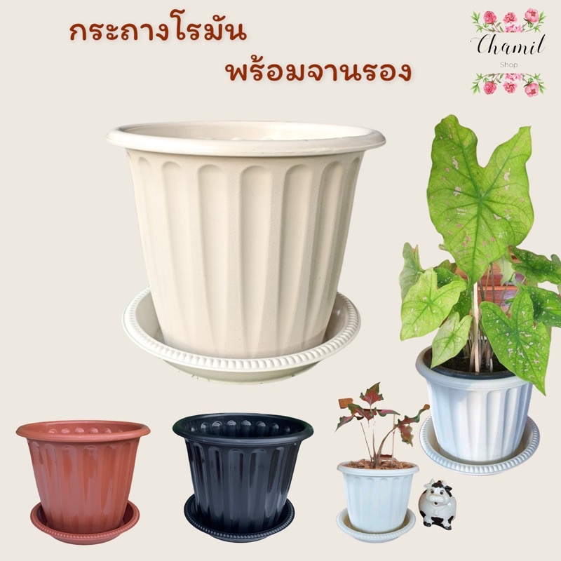 กระถางต้นไม้ 8 นิ้ว พร้อมจานรอง(โรมัน) กระถางต้นไม้พลาสติกพร้อมจานรอง สีขาว สีเทา สีดำ