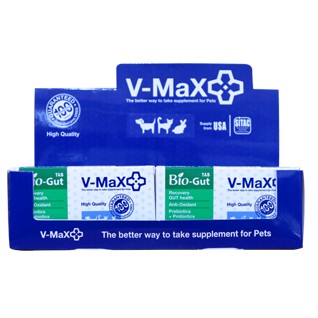 bio-gut vmax biogut synbiotic สำหรับสุนัข synbiotic แมว จุลินทรีย์สุนัข จุลินทรีย์แมว อาหารเสริมบำรุ