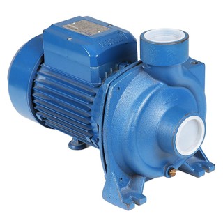 Centrifugal pump WIZZ WZ-WHF/5AM 2HP CENTRIFUGAL PUMP Water pump Water supply system ปั๊มหอยโข่ง ปั๊มหอยโข่ง WIZZ WZ-WHF