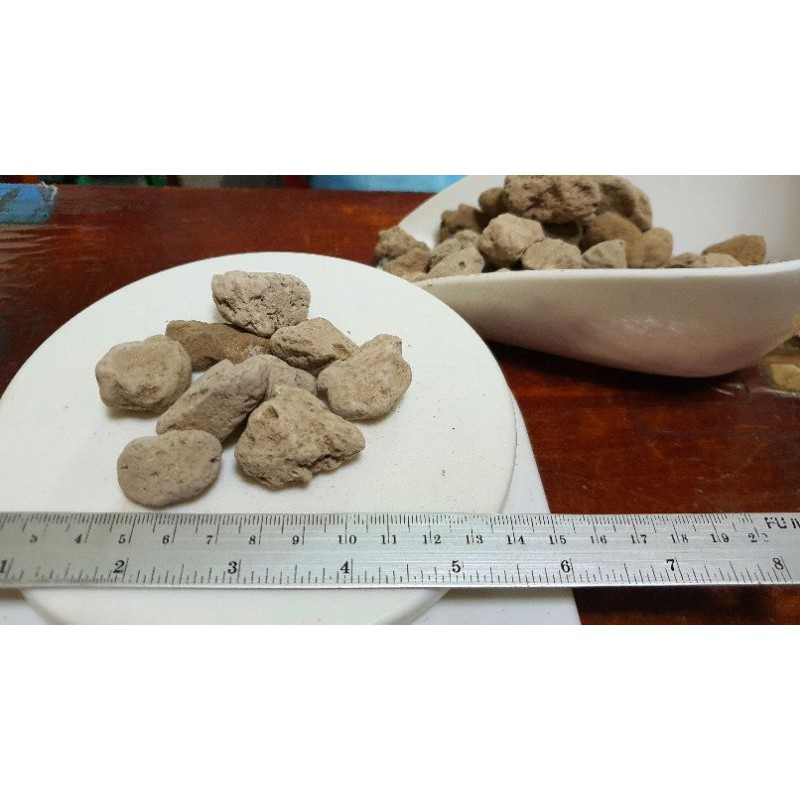 หินภูเขาไฟ เบอร์ SSS ( Indonesia Pumice stone) Shopee Thailand