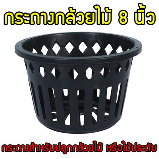 กระถางกล้วยไม้ 8นิ้ว กระถางต้นไม้ กระถาง ไม้ประดับ กระถางกล้วยไม้ กระเช้ากล้วยไม้ กระเช้า กระถางพลาสติก ดำ กลม