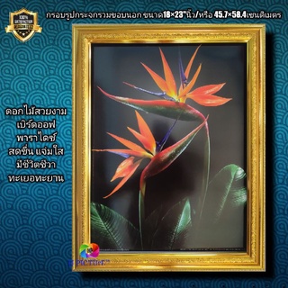 กรอบรูปกระจกพร้อมภาพ ดอกไม้ เบิร์ดออฟพาราไดช์ ขนาด18×23"นิ้ว