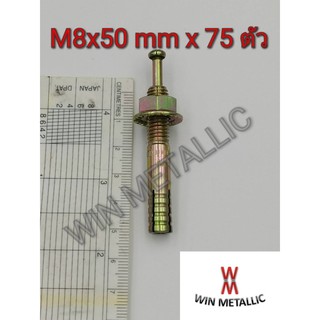 พุกตะปู MR เบอร์ M8x50 mm แพ็คกล่อง จำนวน 75 ตัว