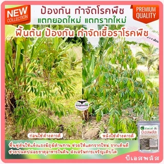 บีเอสพลัส50G กำจัดโรคเน่าทุเรียน พืชทุกชนิด เชื้อราโรคพืช รากเน่าโคนเน่า ไฟทอปธอรา ใบเหลือง ใบไหม้