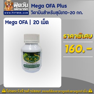 วิตามินสำหรับสุนัขน้ำหนัก 10-20 กิโลกรัม Mega OFA Plus 20 เม็ด