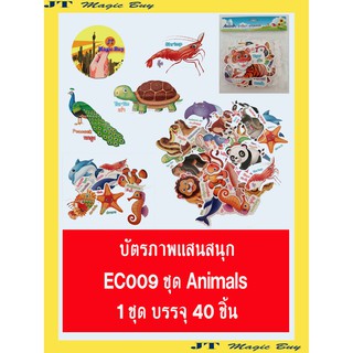 บัตรภาพแสนสนุก ชุด Animals การ์ดคำศัพท์ บัตรคำ ภาษาอังกฤษ EC009