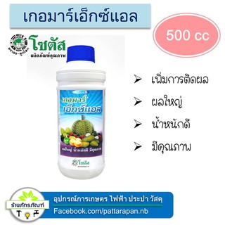 เกอมาร์ เอ็กซ์แอล  เพิ่มการติดผล ลดการหลุดร่วงของผล การแบ่งเซลล์ในระยติดผลที่สมบูรณ์จะช่วยขยายขนาดผล รูปทรงผลสวย ผลใหญ่