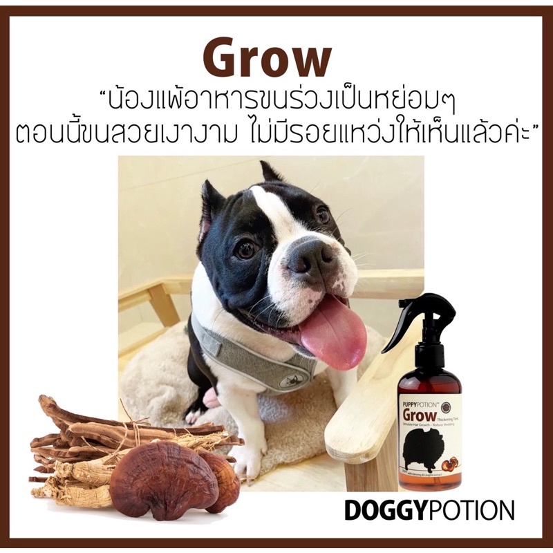 Doggy Potion Grow Spray 250ml สเปรย์ลดขนร่วง รูปที่ 5