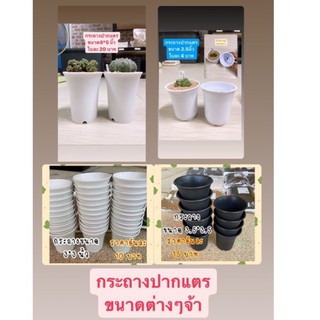 sjcactus กระถางปากแตร กระถางปากแตรทรงสูง เก็บปลายทางได้