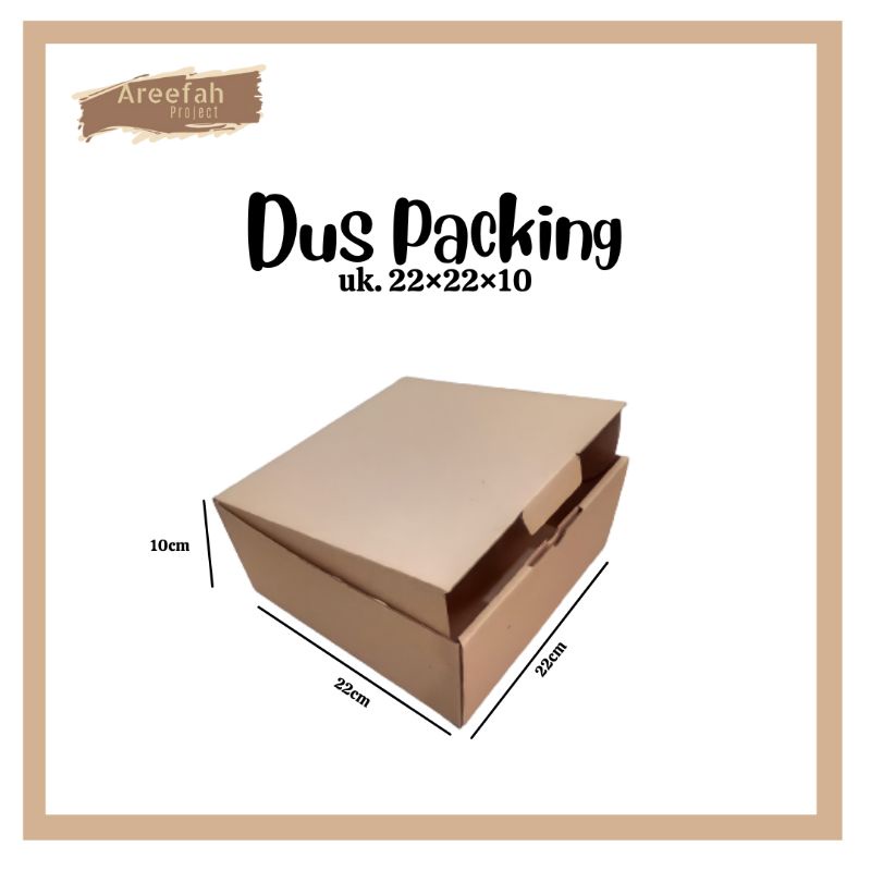 CARDBOARD / CARDBOARD BOX / DI CUT PACKING CARDBOARD ขนาด 22x22x10 cm