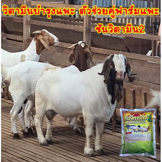 พรีมิกซ์แพะ พรีมิกซ์บำรุงแพะ เสริมวิตามินบำรุงแพะ ฟาร์มแพะใช้จริง ชุดนี้ 4 กิโล