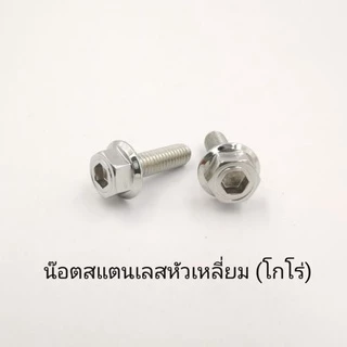 น๊อตสแตนเลสหัวเหลี่ยมโกโร่M4,5,6