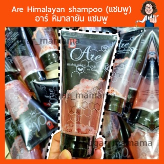 Are Himalayan Shampoo อาร์ หิมาลายัน แชมพู ผสานพืช 7 ชนิด ป๋าสันติ มานะดี หมอนอกกะลา santimanadee แชมพูป๋า เกลือหิมาลัย