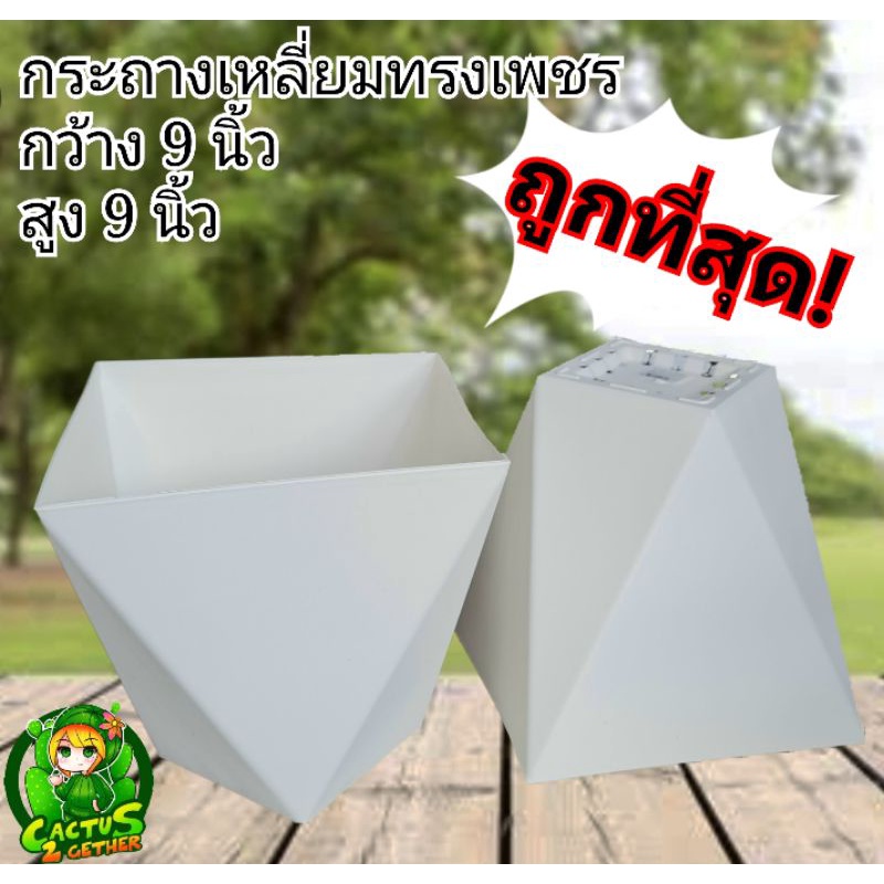 ถูกที่สุด‼️กระถางทรงเหลี่ยมเพชร มินิมอล ทรงสูง9"×9"❌️จานกับกระถางแยกขายนะคะ❌️