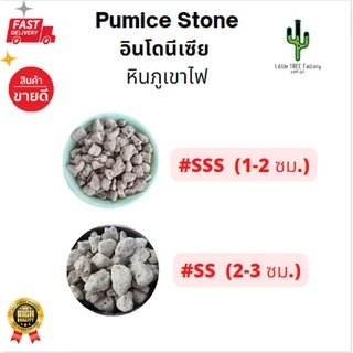 หินภูเขาไฟ Pumice Stone คัดเกรดอย่างดี ใช้โรยหน้ากระถาง ใช้ผสมดินปลูกกระบองเพชร บรรจุ 2 ลิตร