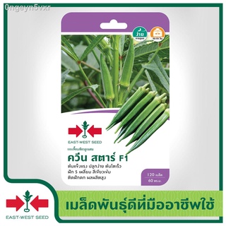 East-West Seed เมล็ดพันธุ์กระเจี๊ยบ (Okra seeds) ควีนสตาร์ F1 เมล็ดพันธุ์ผัก เมล็ดพันธุ์ ผักสวนครัว  ตราศรแดง