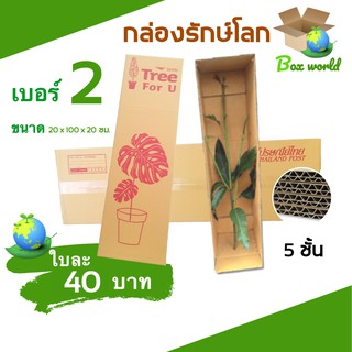 Boxworld กล่องต้นไม้ กล่องไปรษณีย์ เบอร์ 2 ขนาด 20 x 100 x 20 ซม. ( 5 ใบ ) ส่งฟรี