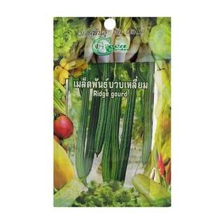 [พร้อมส่ง] HomeDoDee เมล็ดพันธุ์บวบ กรีน การ์เด้น เมล็ด เมล็ดพันธุ์ เมล็ดพันธุ์พืช