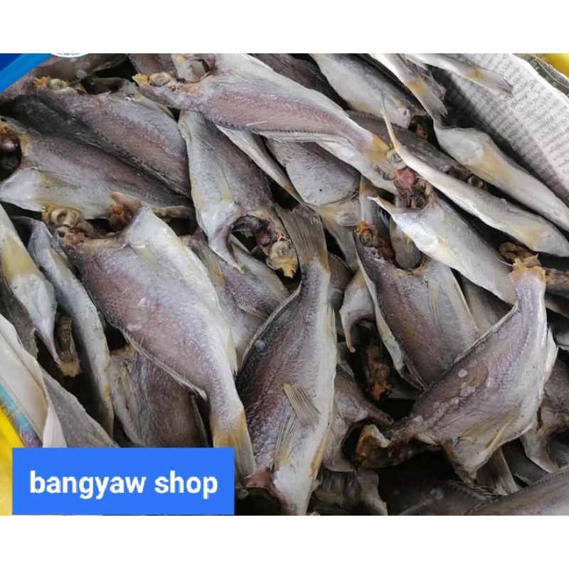 ปลาจวดทะเลตากแห้ง,ปลาเค็ม อาหารทะเลแห้งไซร์ใหญ่นน.500g