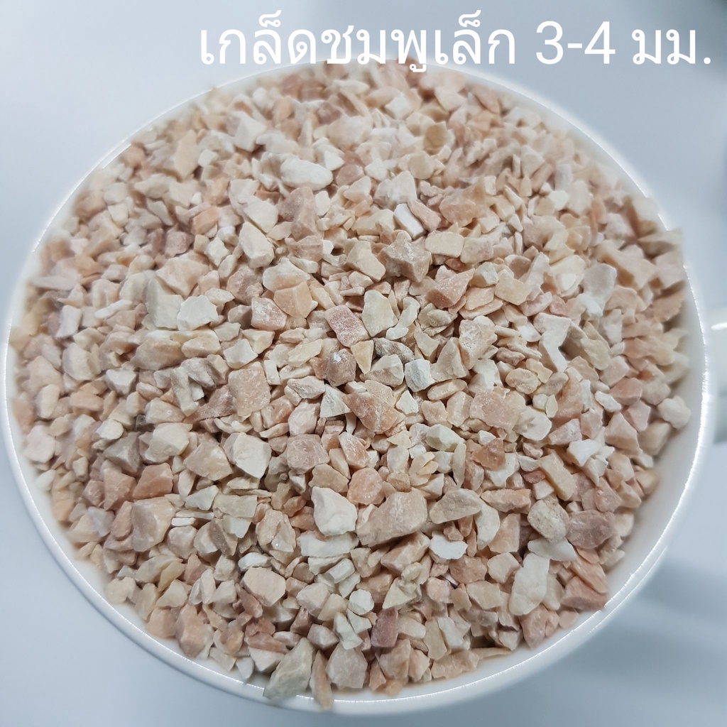 หินตกแต่งตู้ปลา หินโรย ราคา ถูกที่สุด ดีลบีเคเค แกลเลอรีภาพที่ 7