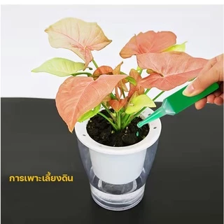 ปุ๋ยเร่งโตปุ๋ยน้ำ เร่งโต 5 เท่า เร่งใบ ราก และลำต้น ปุ๋ยไฮโดรโปนิกส์ ต้นไม้ตายแล้วฟื้น ขนาด 38 ML.