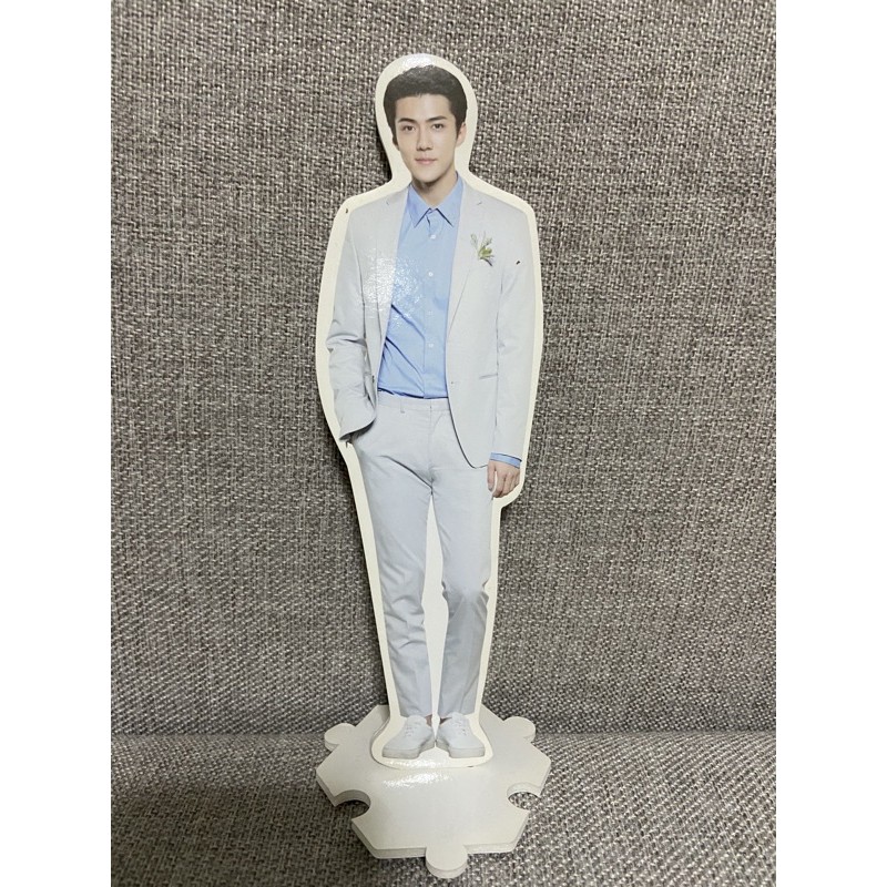 Sehun Standy Innisfree