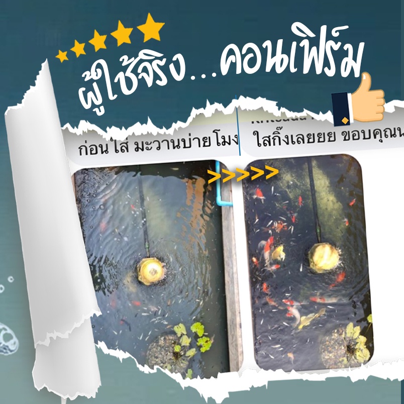 รูปภาพ 5