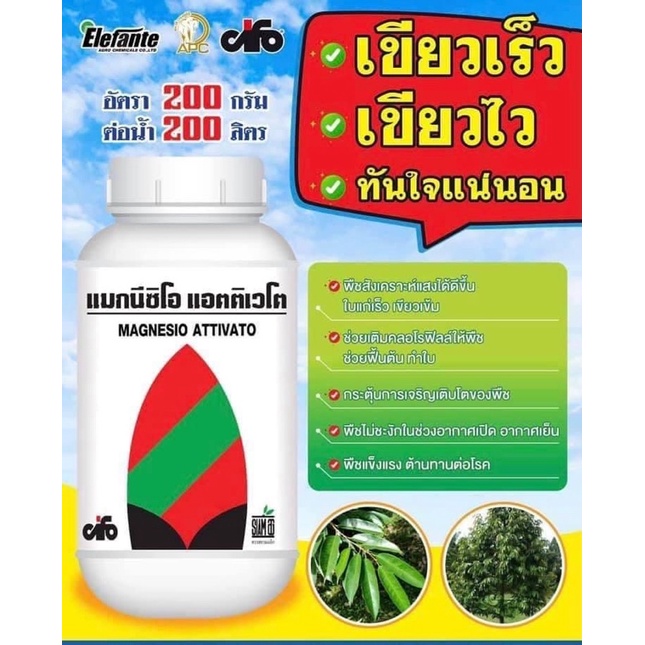 แมกนีซิโอ แอตติเวโต แมกนีเซียมซัลเฟต+Cu+Mn+Zn กระตุ้นการเจริญเติบโต แตกตาดอกและยอด ช่วยให้ใบแก่เร็ว ใบเขียวเข้ม ทนโรค