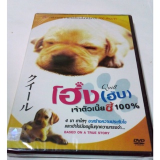 DVD  โฮ่ง(ฮับ)เจ้าตัวเนี๊ยซี้ 100 %