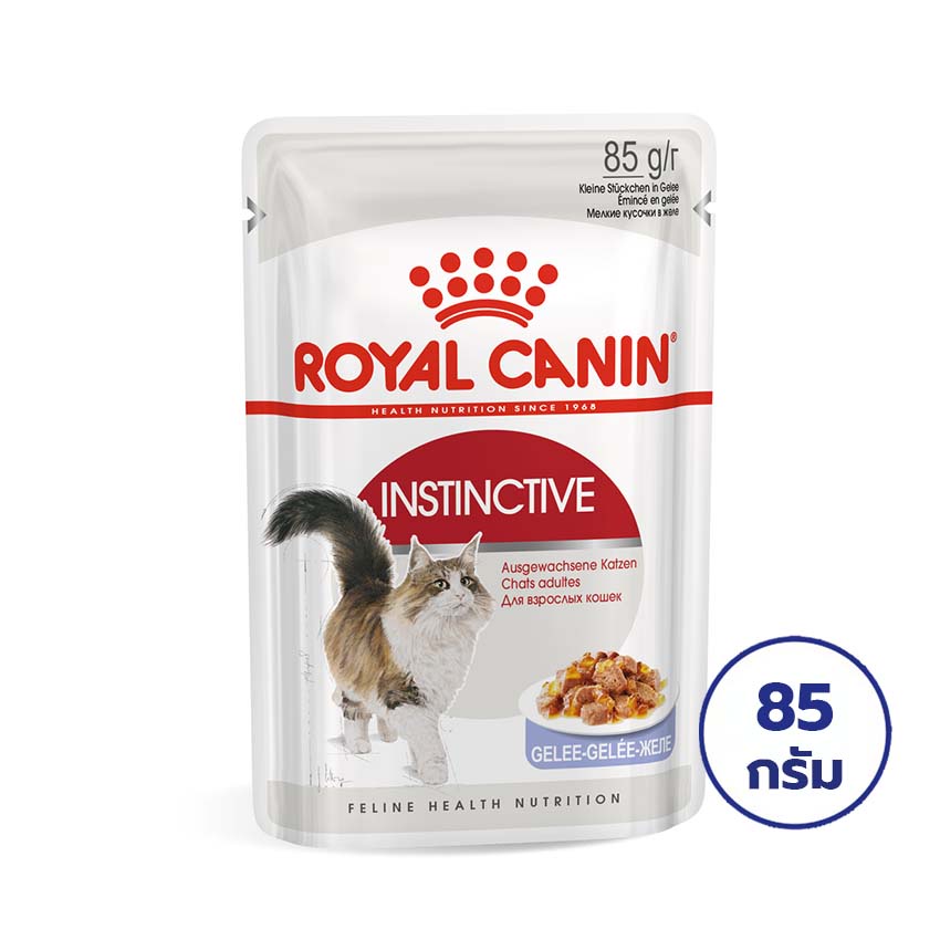 ROYAL CANIN โรยัล คานิน อาหารสำหรับแมวโต อายุ 12 เดือนขึ้นไป ชนิดเจลลี่ 85 กรัม