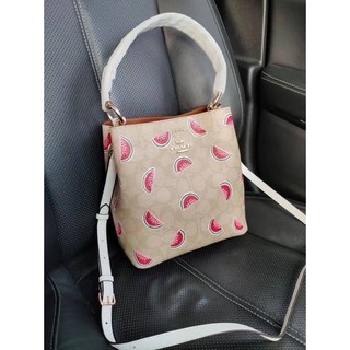 Coach  SMALL TOWN BUCKET BAG IN SIGNATURE CANVAS WITH WATERMELON PRINT (COACH 1619)