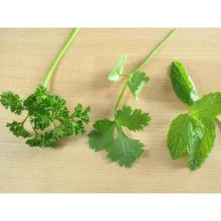 เมล็ด พาสเล่ย์ใบหยิก - Curled Parsley