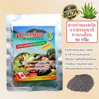 สาหร่ายผงสกัด 50กรัม (Seaweed Extract Powder)นำเข้าจากแคนนาดา กระตุ้นการแตกตาดอก เพิ่มผลลิตและคุณภาพ