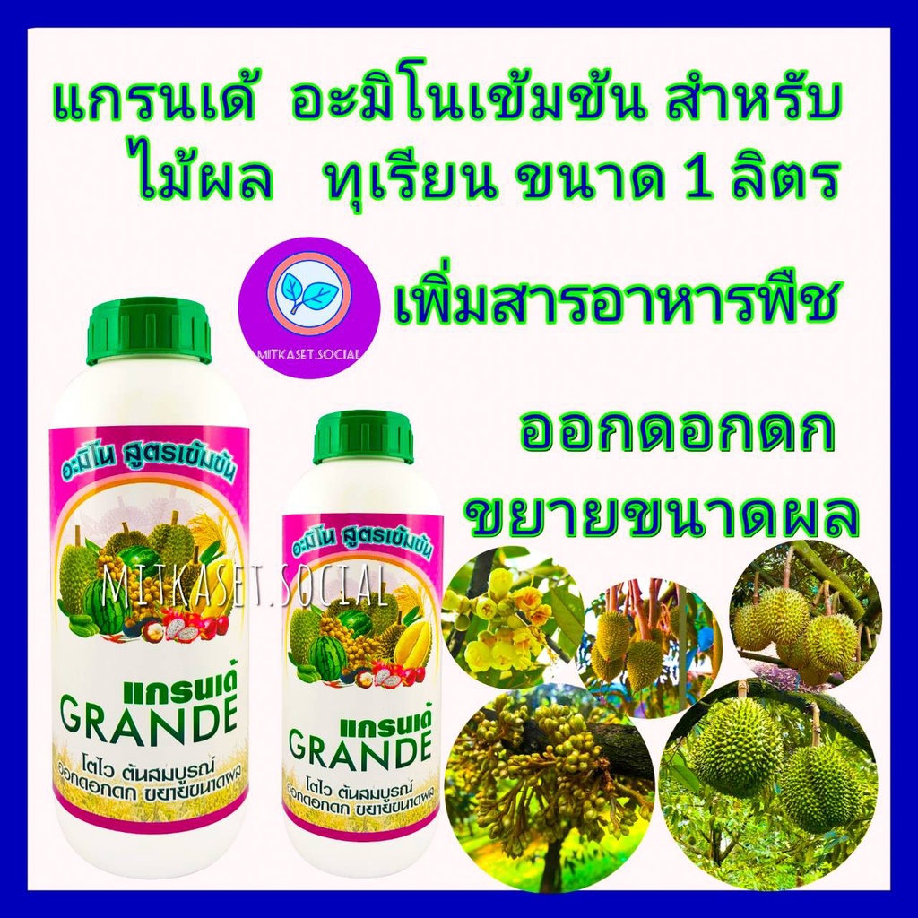 #อาหารเสริมพืช
#ฮอร์โมนพืช
#ปุ๋ยเร่งดอก
#ปุ๋ยทุเรียน
#อะมิโน