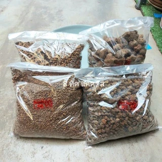 // หินภูเขาไฟ 1 ลิตร // Pumice Stone วัสดุปลูก แคคตัส กระบองเพชร ต้นไม้