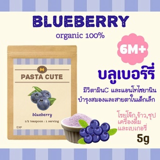 [โปรเปิดร้าน 10 แถม 1]ผงบลูเบอร์รี่ ออแกนิก100% สำหรับเด็ก6เดือนขึ้นไป,ผงผัก,ผัก,ข้าว,ซุป,โจ๊ก,เด็ก,ขนม,ข้าวตุ๋น,ข้าวบด