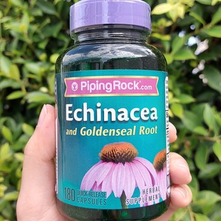 เอ็กไคนาเซีย โกลเด้นซีล Echinacea &amp; Goldenseal Root 180 Capsules (Piping Rock®) เสริมภูมิต้านทาน